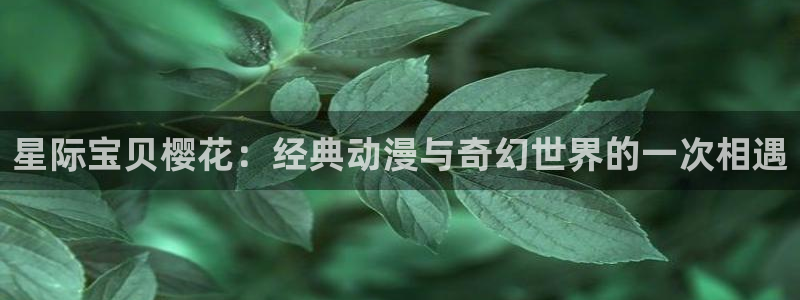 拷贝漫画 copymanager.ory网站