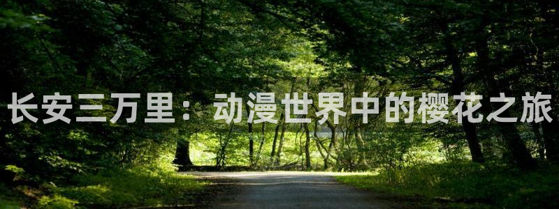 拷贝漫画 copymanager.ory网站