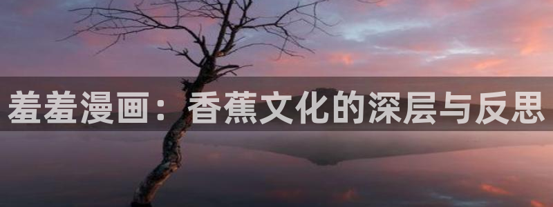 managereader漫画官网入口