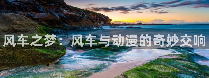 age专注动漫的门户网站