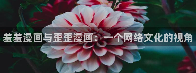 歪歪漫画网官网入口