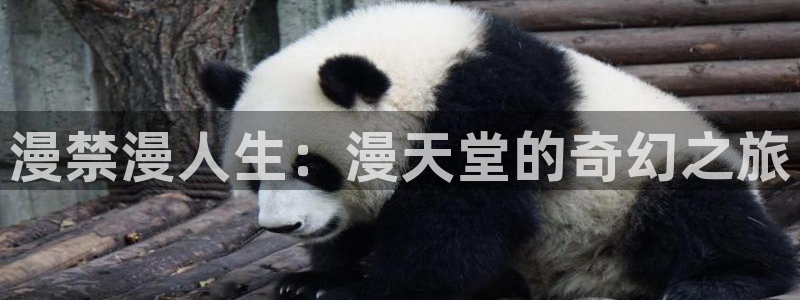 歪歪漫画官网网址