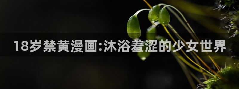 age漫画网