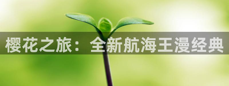 歪歪漫画网官网入口