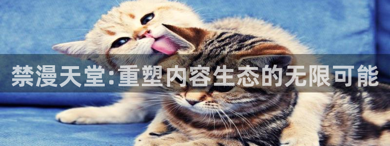 managereader漫画官网入口