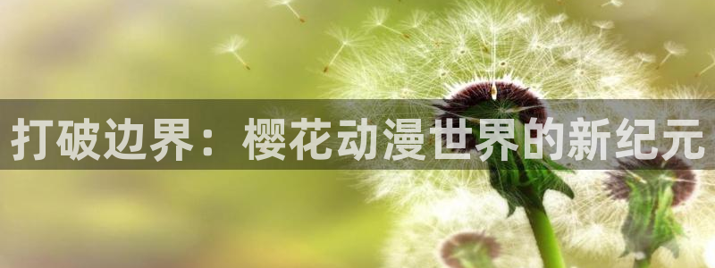 age专注动漫的门户网站