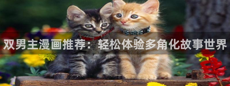 拷贝漫画 copymanager.ory网站：双男主漫画推荐：轻松体验多角化故事世界