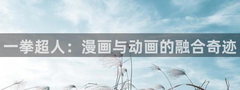 歪歪漫画：一拳超人：漫画与动画的融合奇迹