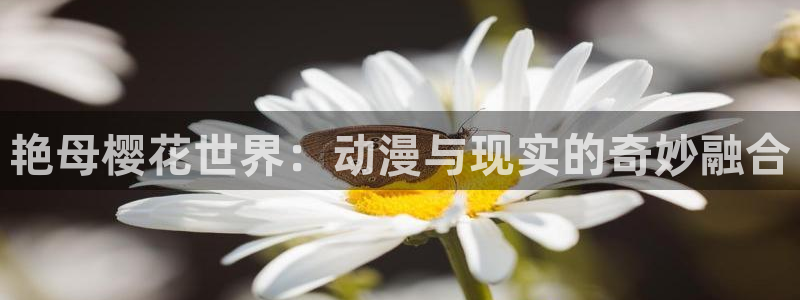 歪歪漫画下载动漫全免费：艳母樱花世界：动漫与现实的奇妙融合